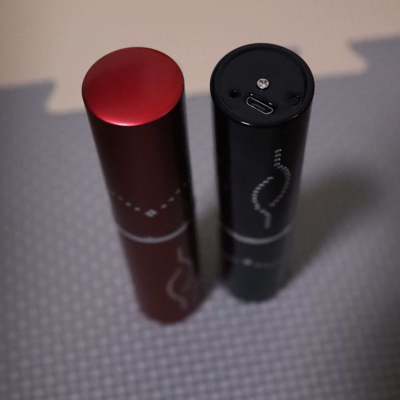 Hot Sale Portable Lipstick Pla - Led Mouth Tray recensione e prezzo