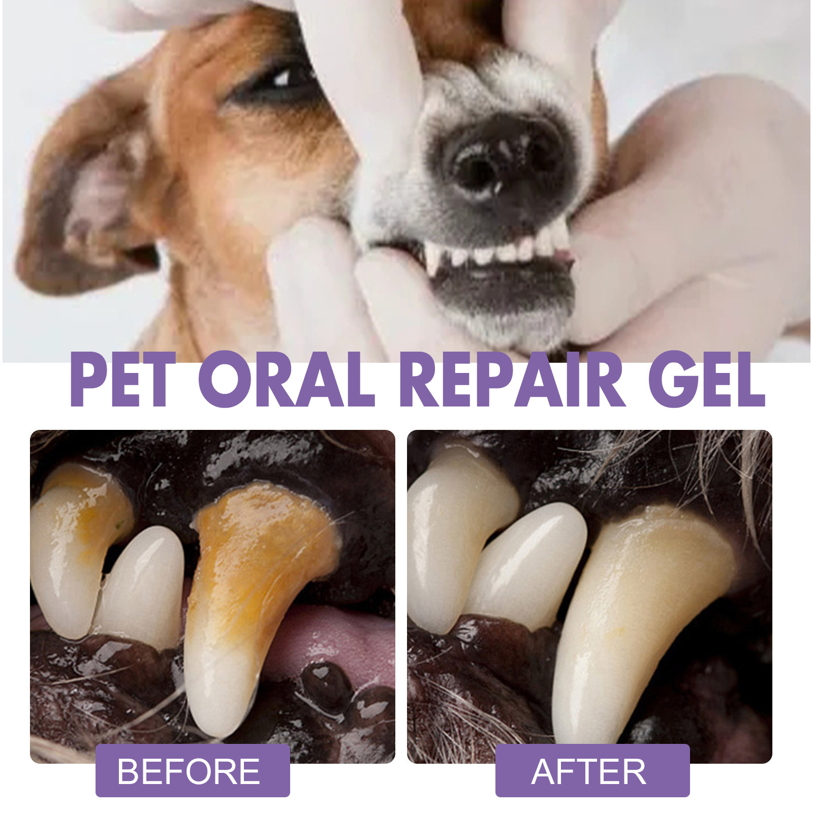 Pet Oral Repair Gel Puppy Tart - Teeth Whitening Gels recensione e prezzo
