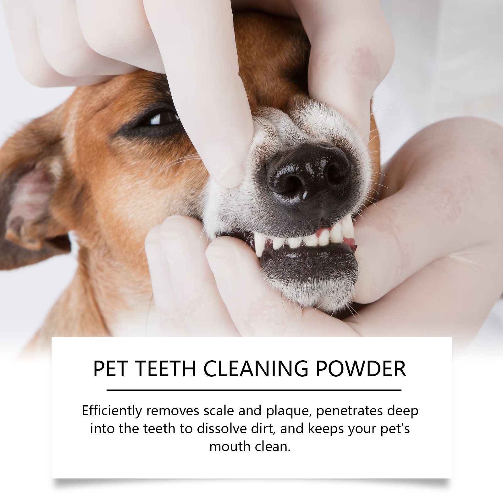 Pet Teeth Cleaning Powder Redu - Teeth Whitening Hismile recensione e prezzo